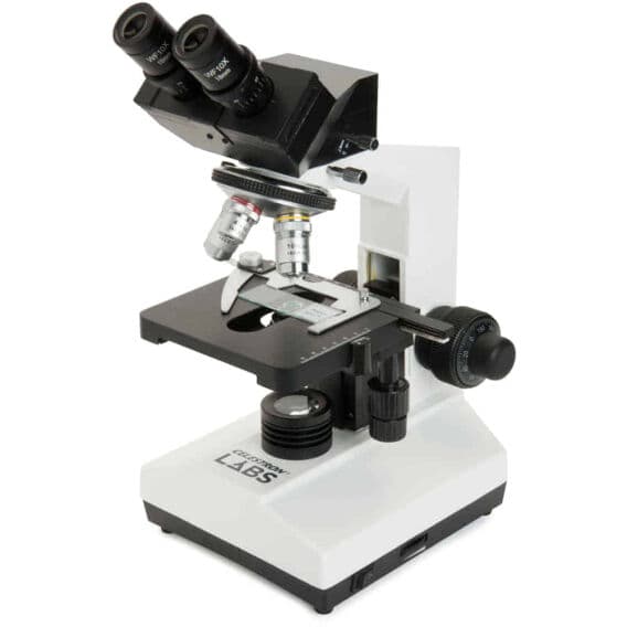 Celestron Labs CB2000C Trinoküler Bileşik Mikroskop – 40x-2000x Büyütme, Hazır Preparatlı, Kamera Uyumlu