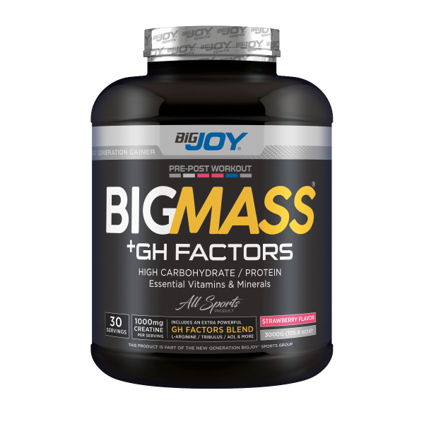 BigJoy Big Mass +GH Factors Çilek 3000 Gr