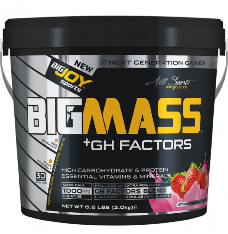Bigjoy BigMass +GH Factors 3000 gr - 5