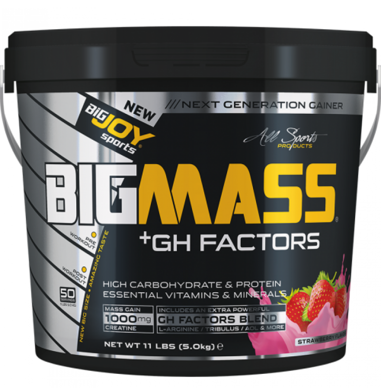 Bigjoy BigMass +GH Factors 5000 gr - 2
