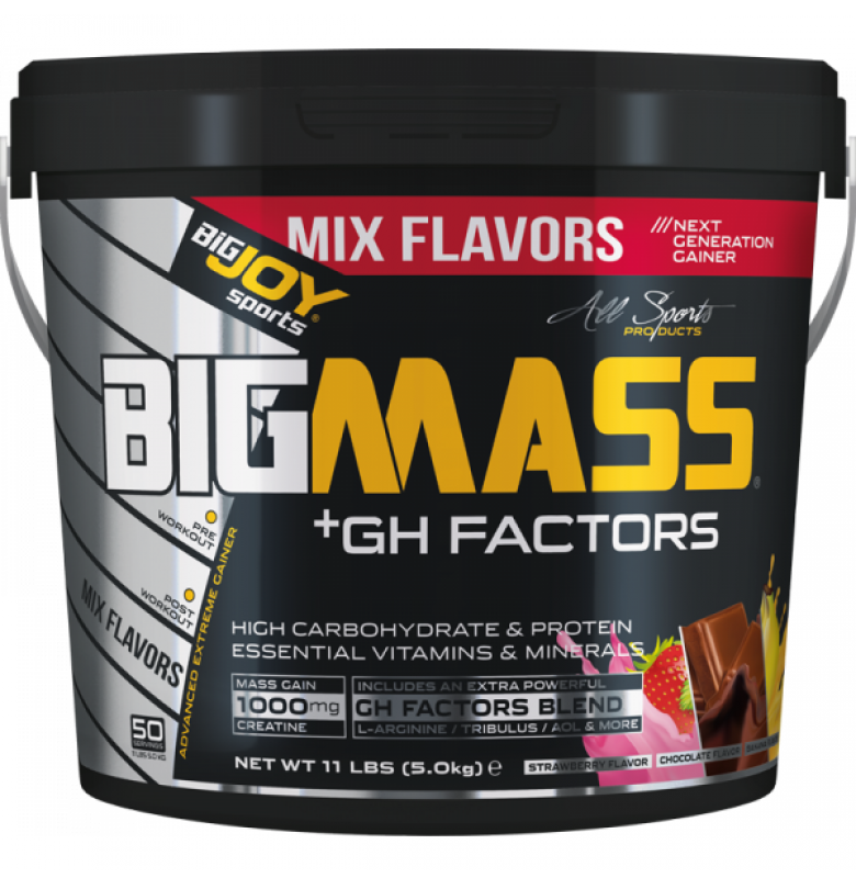 Bigjoy BigMass +GH Factors 5000 gr - 4