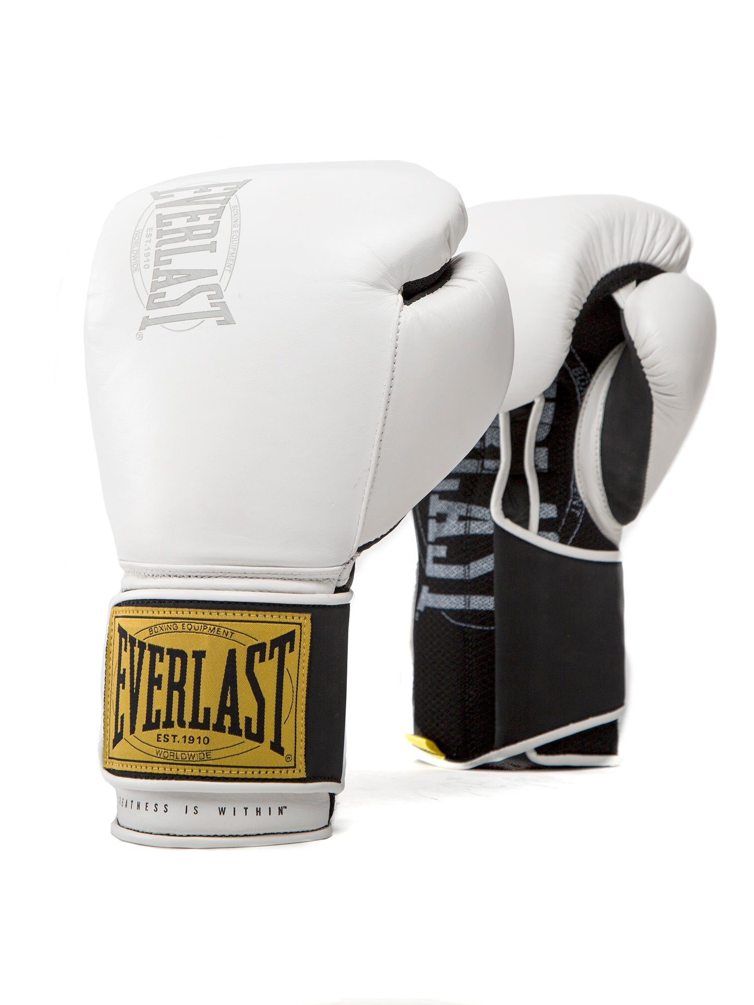 Everlast 1910 12oz Classic Training Gloves Beyaz Boks Eldiveni