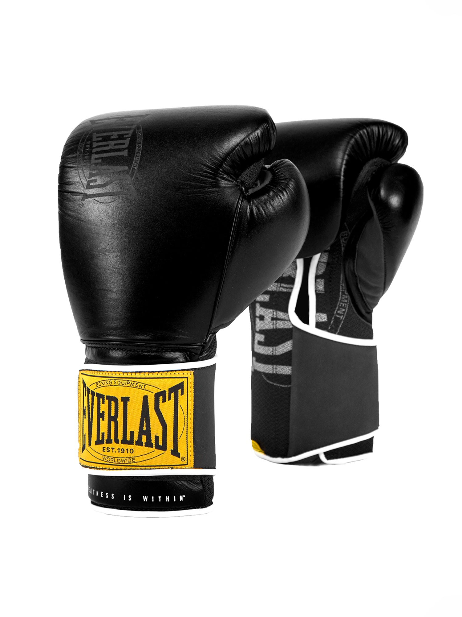 Everlast 1910 Classic 12oz Training Gloves Siyah Boks Eldiveni