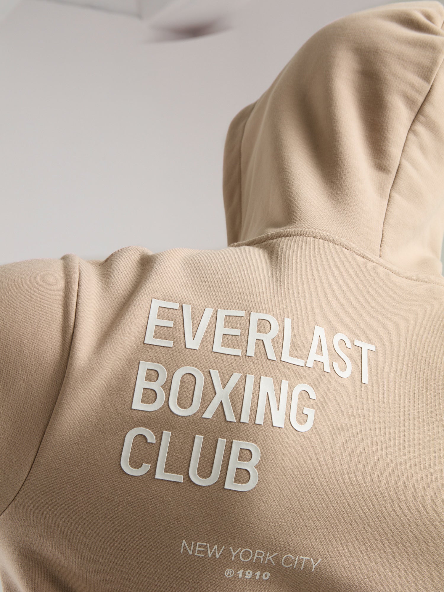 Everlast Boxing Club Regular Kum Erkek Full Zip Kapüşonlu Sweatshirt - 3
