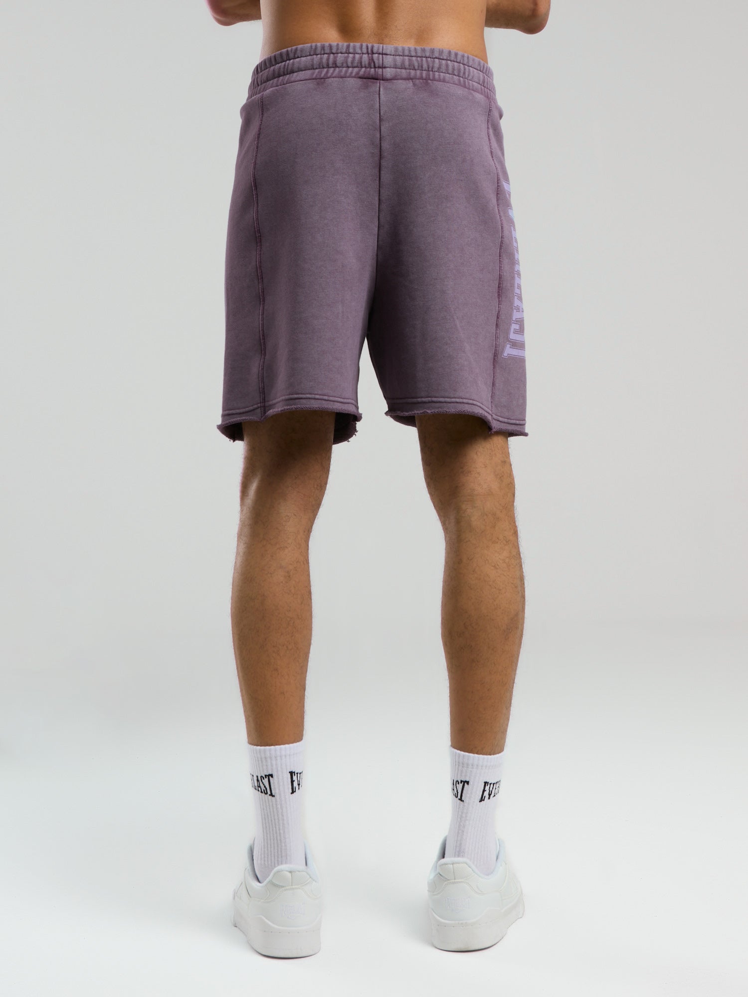 Everlast Bronx 1910 Yıkamalı Mor Erkek Şort - 3
