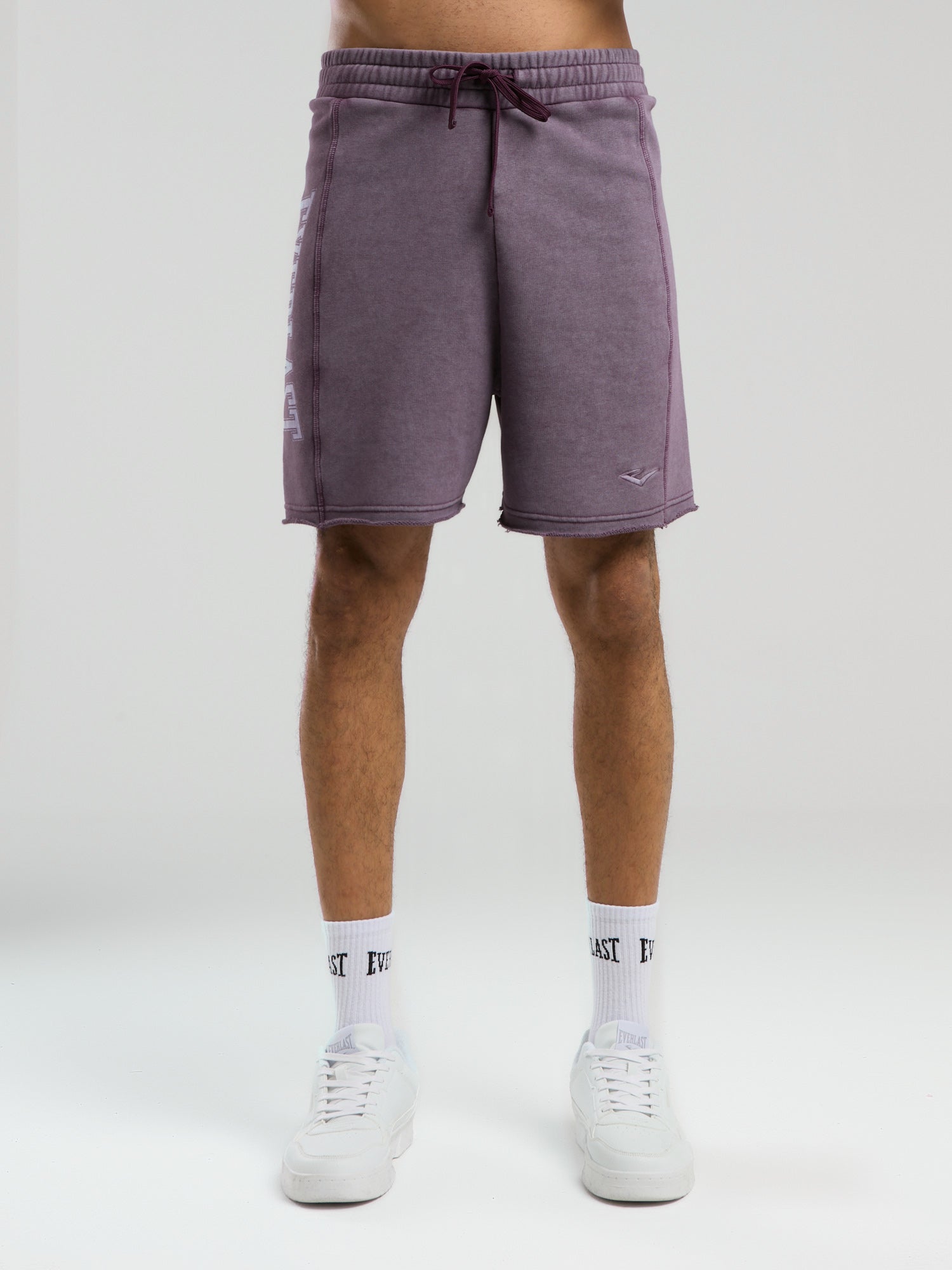 Everlast Bronx 1910 Yıkamalı Mor Erkek Şort - 4