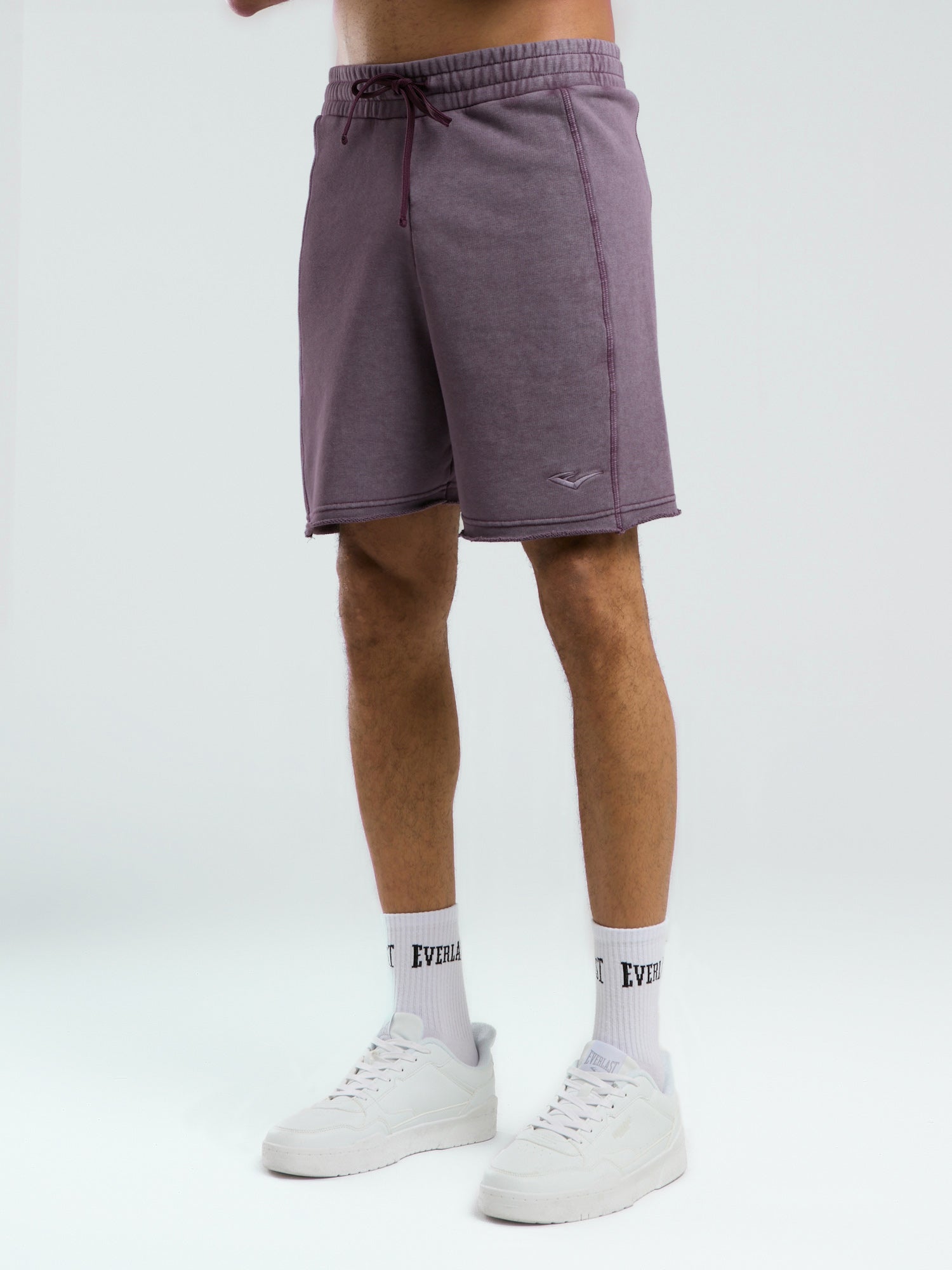 Everlast Bronx 1910 Yıkamalı Mor Erkek Şort - 5