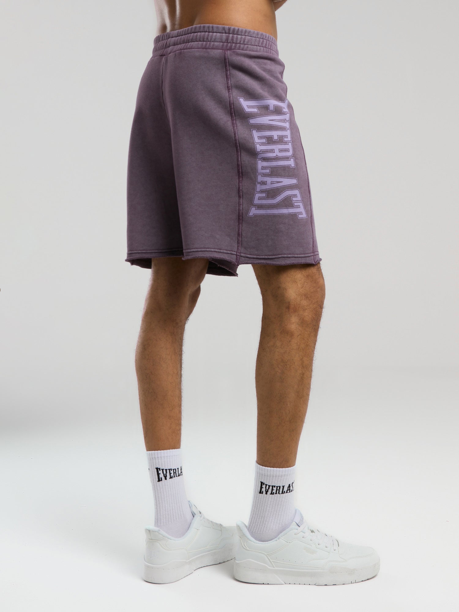 Everlast Bronx 1910 Yıkamalı Mor Erkek Şort - 6