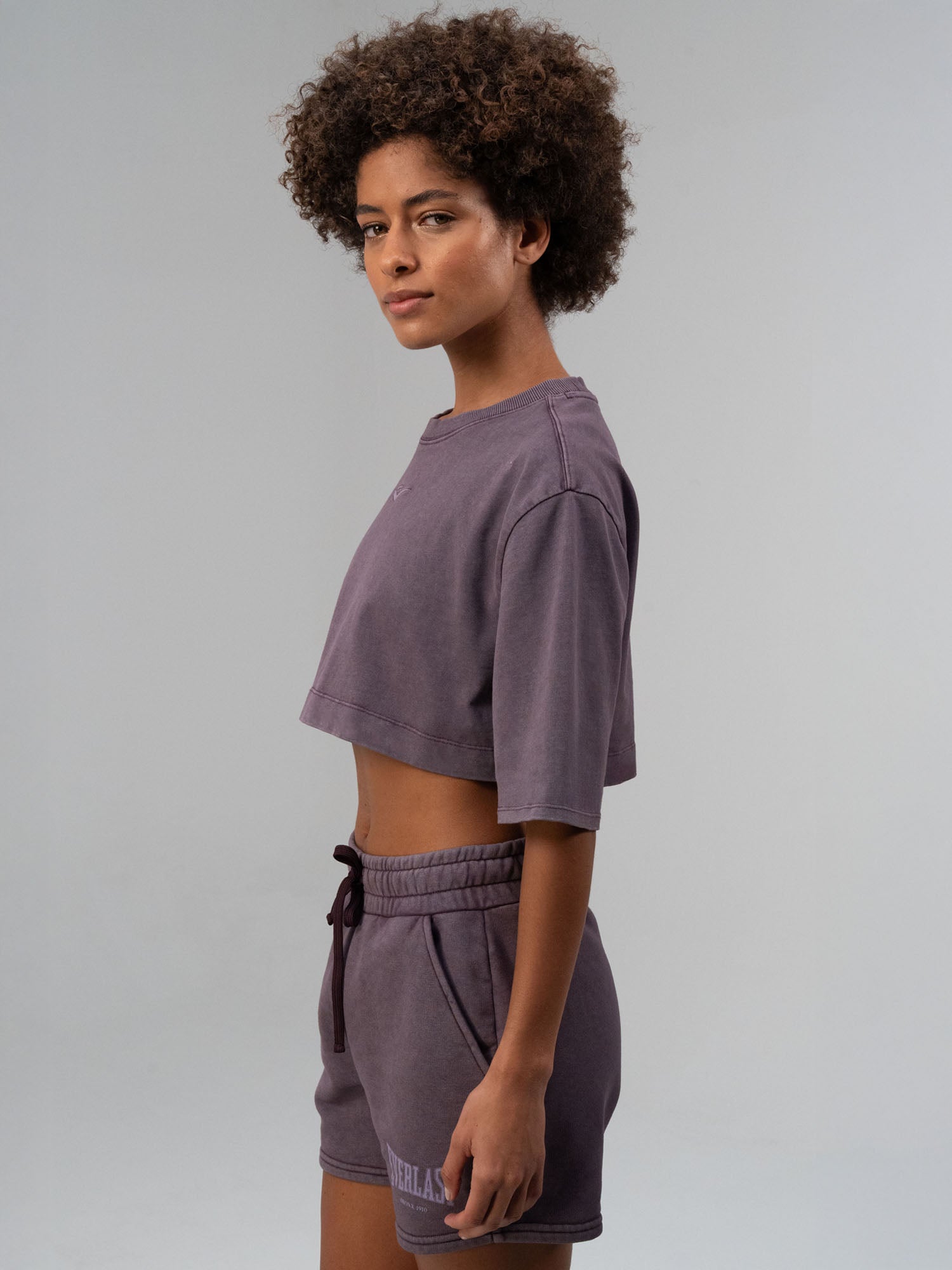 Everlast Bronx 1910 Oversize Mor Crop Kadın Tişört - 4