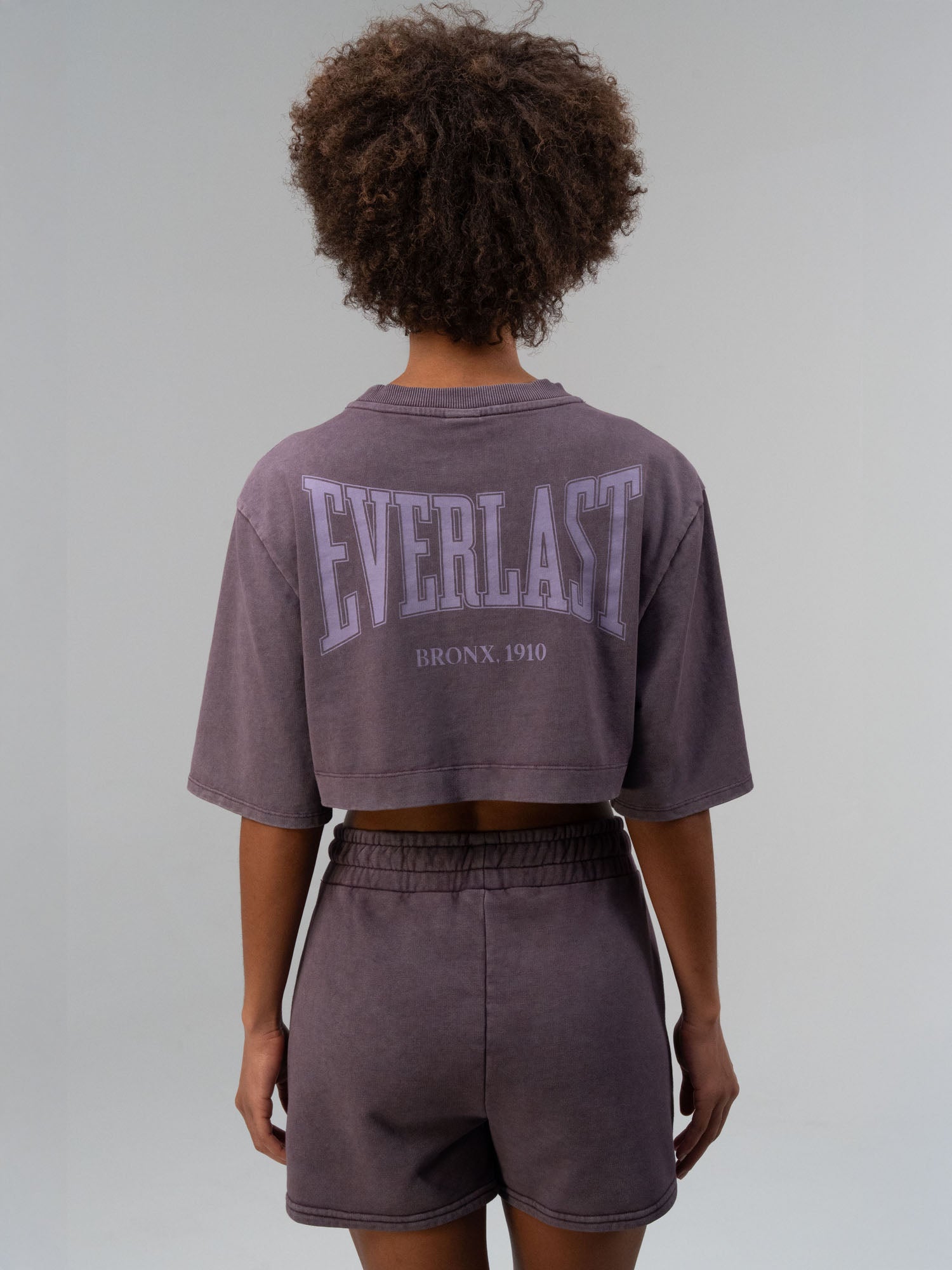 Everlast Bronx 1910 Oversize Mor Crop Kadın Tişört - 5