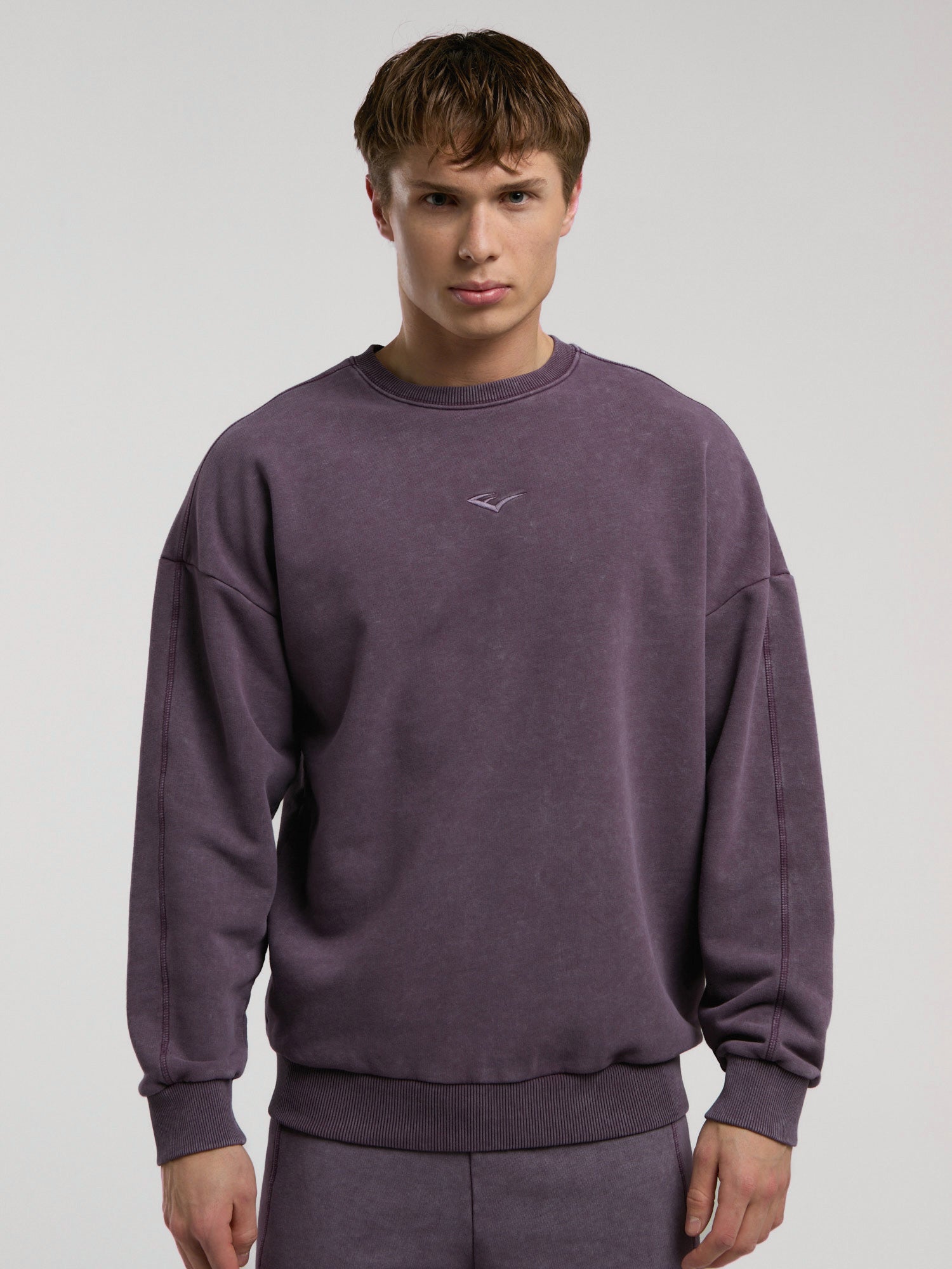 Everlast Bronx 1910 Yıkamalı Mor Erkek Sweatshirt