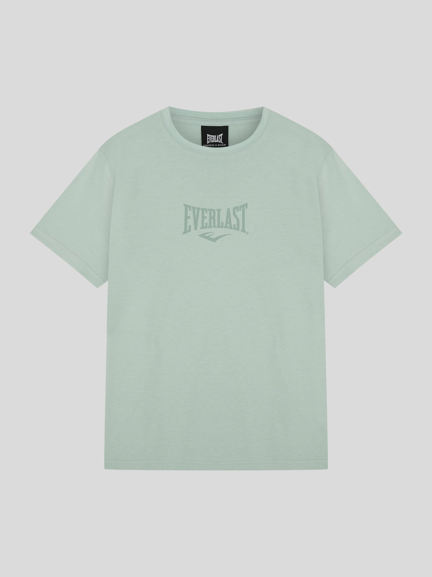 Everlast Comp Logo Regular Kesik Yaka Su Yeşili Erkek Tişört