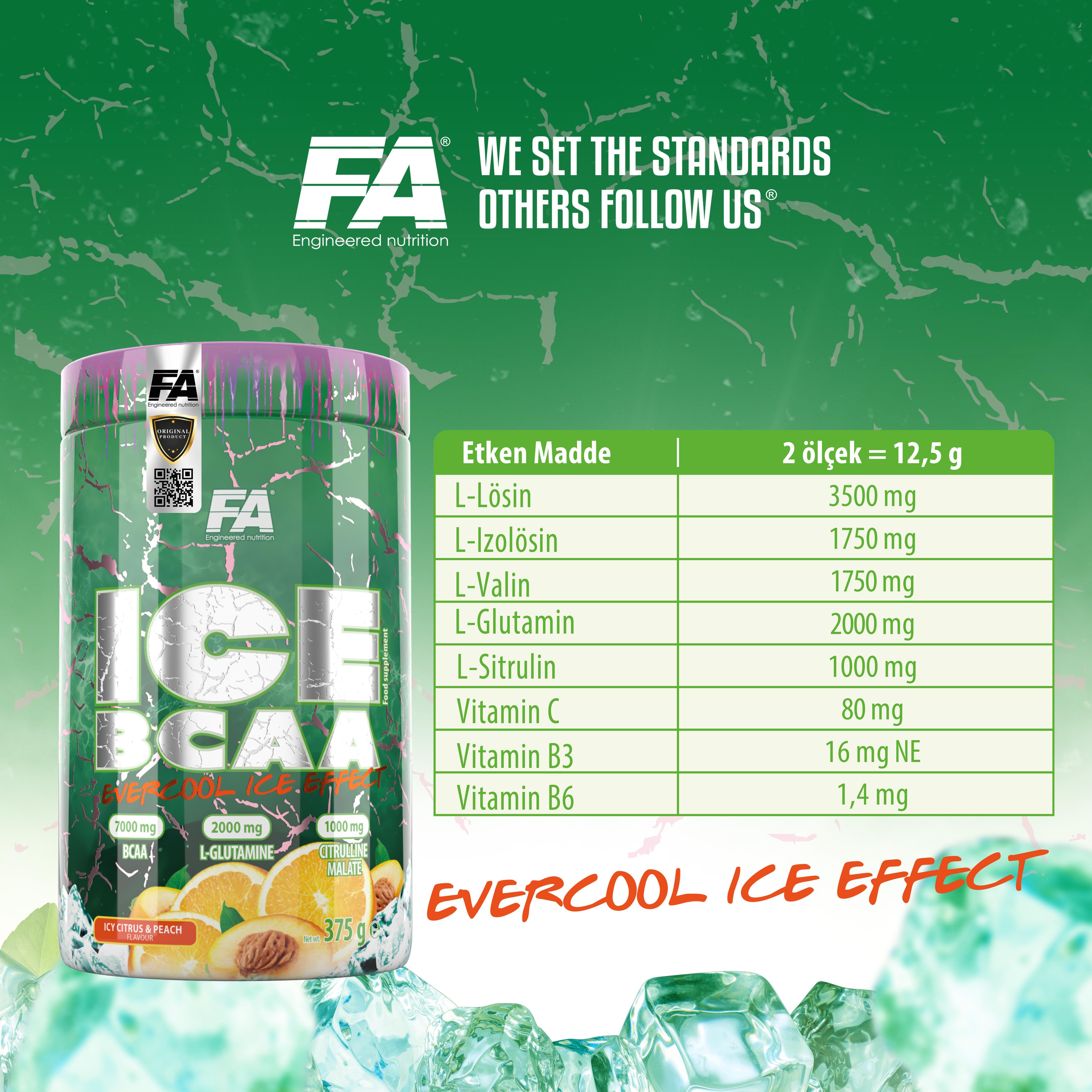 Fa Nutrition Ice BCAA 375 gr - 2