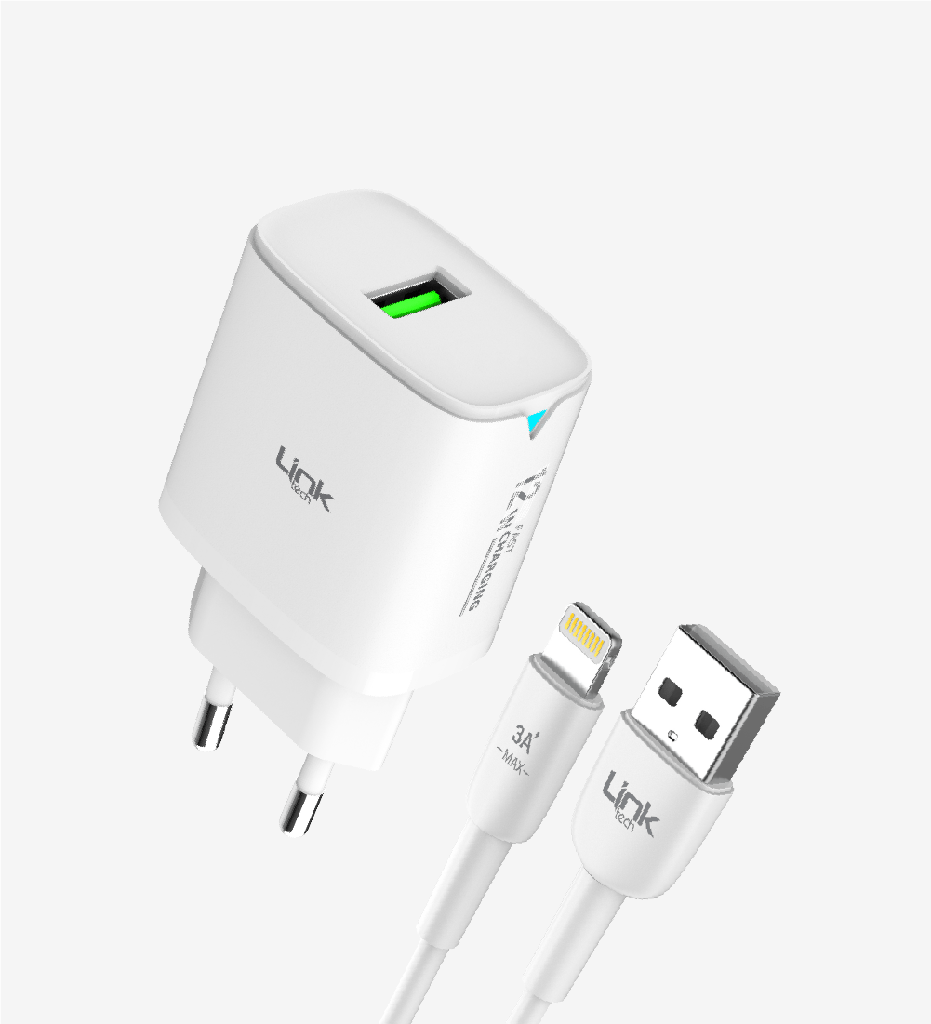 C302 Safe Lightning Cable 12W Fast Charger 12 Pack
