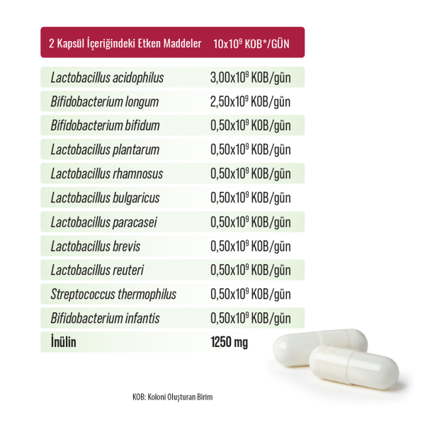 Probien Probiyotik Prebiyotik  30 Kapsül - 2