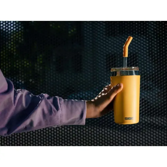 Sigg 6014.90 Helia 0,45L Çelik Termos, Somon - 4