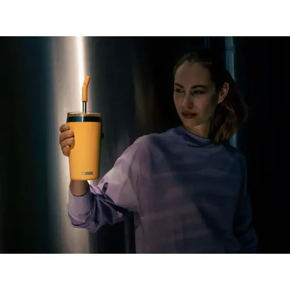 Sigg 6014.90 Helia 0,45L Çelik Termos, Somon - 5