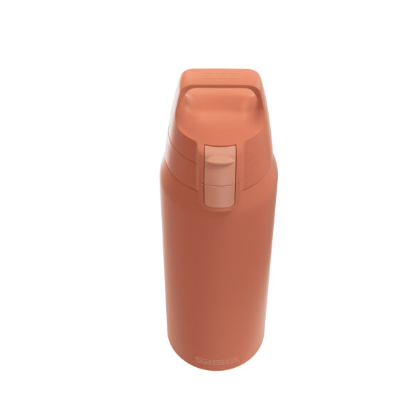 Sigg 6021.20 Therm One 0,75L Termos, Tarçın - 2