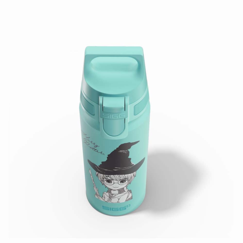 Sigg 6036.20 WMB One 0,6L Çocuk Matara, Harry Potter - 2