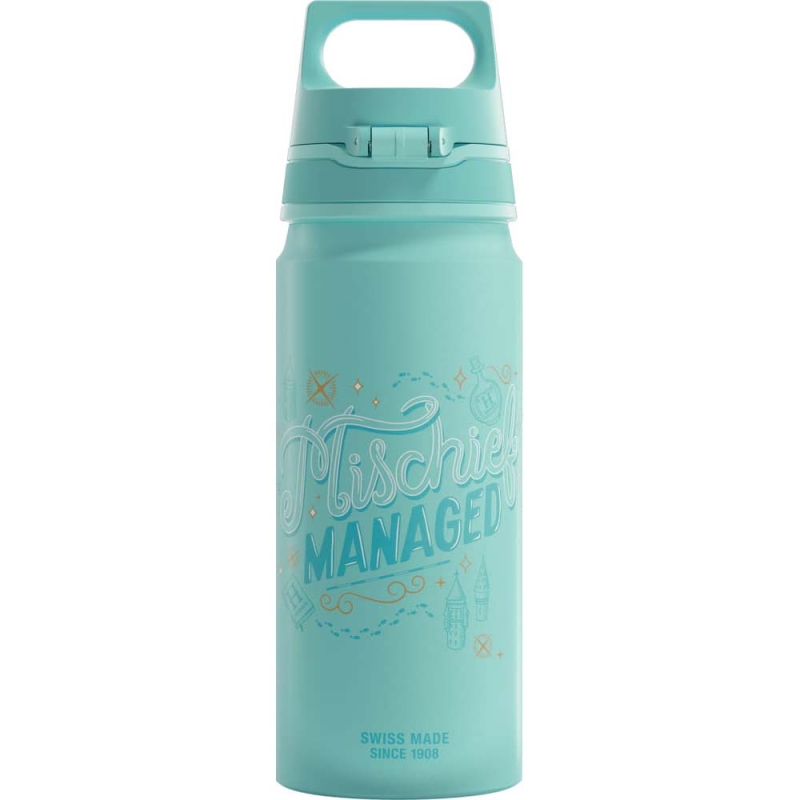 Sigg 6036.20 WMB One 0,6L Çocuk Matara, Harry Potter - 5