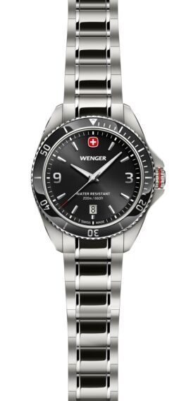 Wenger 01.2031.101 Executive Quartz Erkek Kol Saati - 3